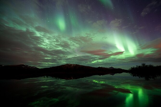 Northern Lights Husky Visit - Bacalao, cake, and a warm hut