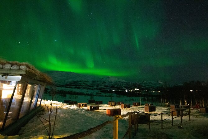 Northern Lights Husky Visit - The real value of the $193.27 price