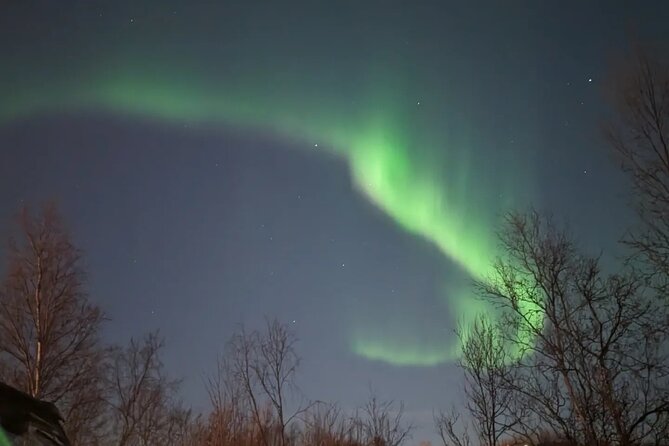 Northern Lights Minibus Chase Max 16 Person In Group - Who will enjoy this tour most