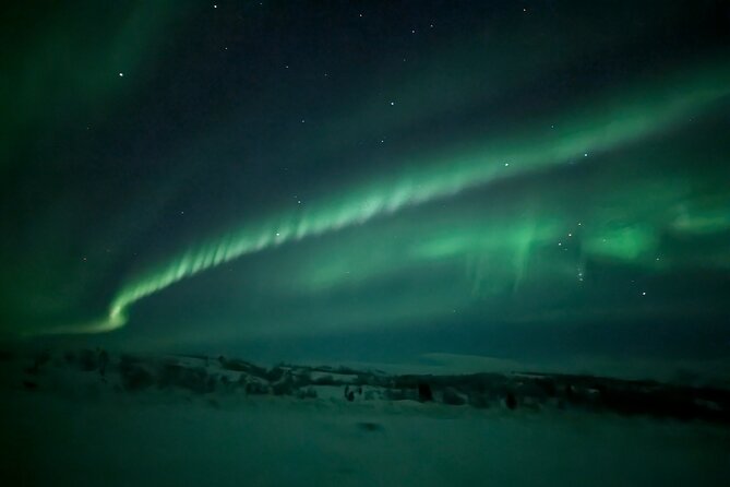 Northern Lights Minibus Chase Max 16 Person In Group - Should you book the Alta aurora chase?