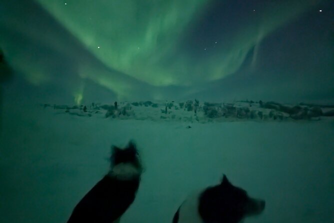 Northern Lights Minibus Chase Max 16 Person In Group - What happens at the viewing stops