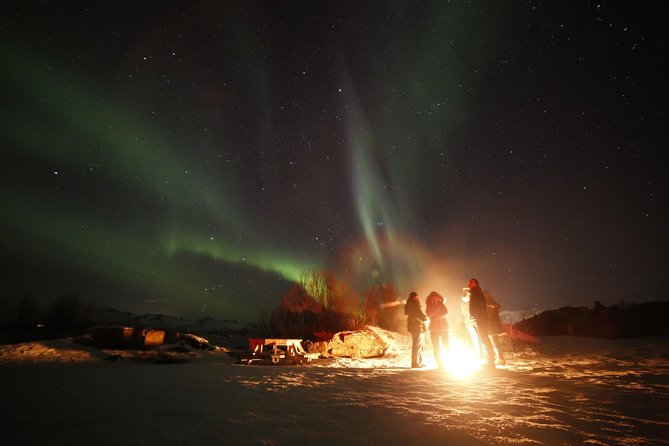 Northern lights photography tour - Who will enjoy this tour most?