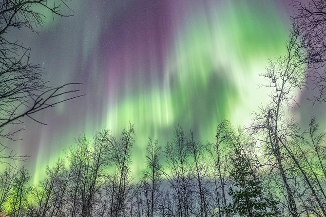 Northern Lights Private tour with your special ones - Greenlander - Photography without losing the moment