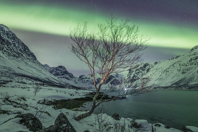 Northern Lights Private tour with your special ones - Greenlander - The drive from Tromsø toward clearer skies