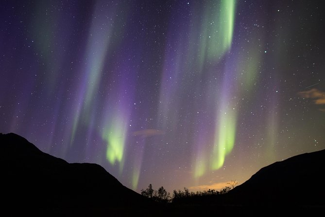 Northern Lights Safari from Tromso - The chase is the main event