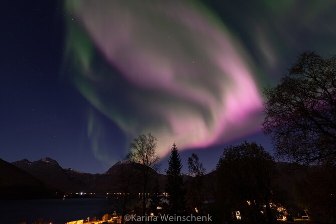 Northern Lights Safari from Tromso - Is the $152.21 price good value?