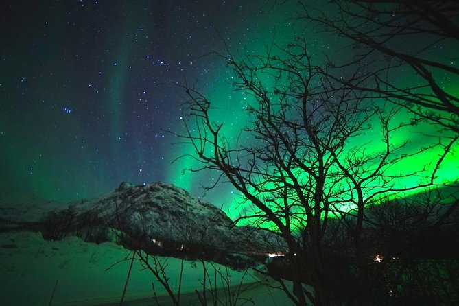 Northern lights - TeslaX Ecofriendly Car - The real value of $192.75
