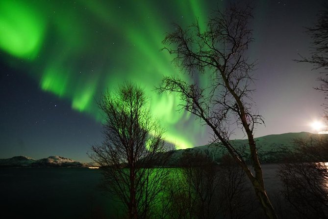 Northern lights - TeslaX Ecofriendly Car - Who should book this Tesla aurora tour