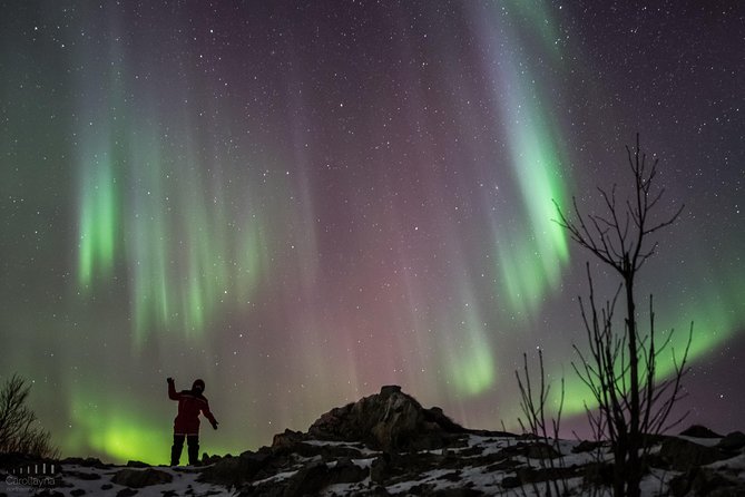 Northern Lights tour - All inclusive - Northern Horizon - Guides who explain more than the colors