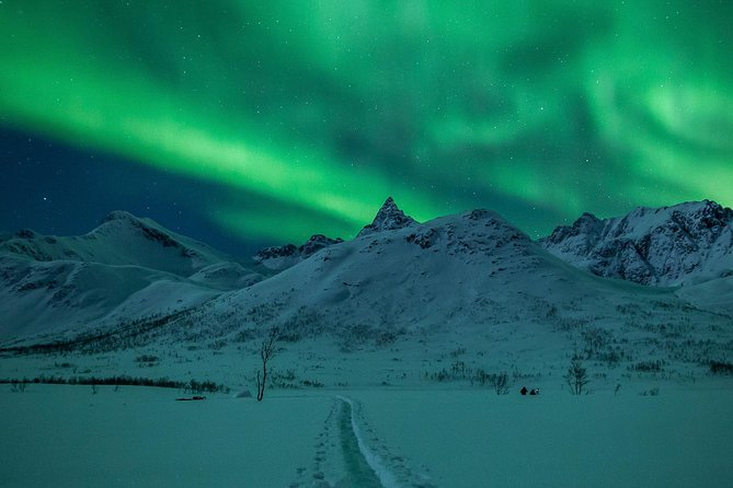 Northern Lights Tour from Tromsø - Why the chase matters around Tromsø
