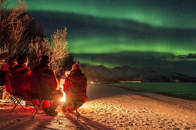 Northern Lights Tour from Tromsø - What happens on a night with no aurora
