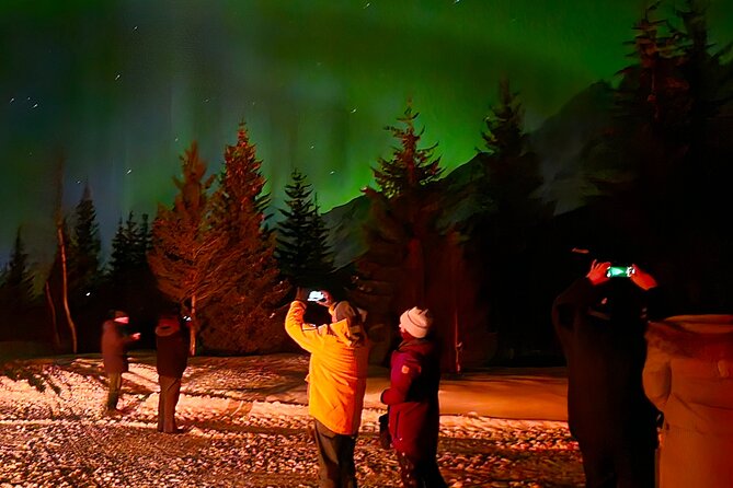 Northern Lights Tour, Tromso, Local Guide, Private Basecamp - Why the $204.97 price may be fair