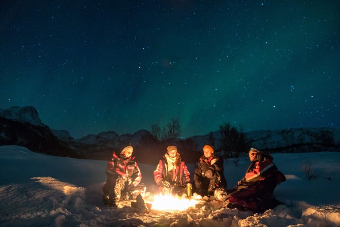 Northern Lights tour with Alta Adventure - Key points to know before you book