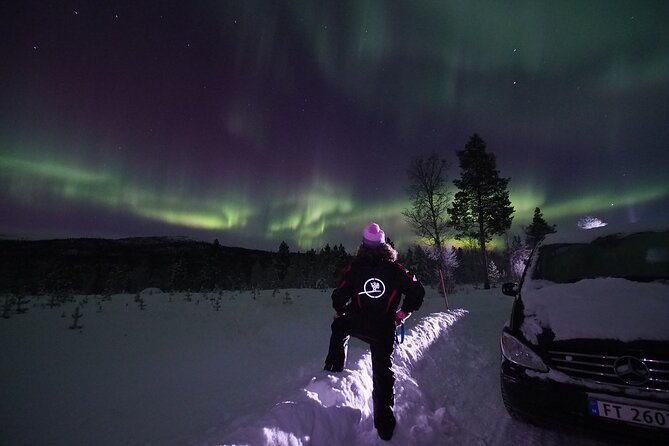 Northern Lights tour with Alta Adventure - Starting in Alta at 8 p.m.