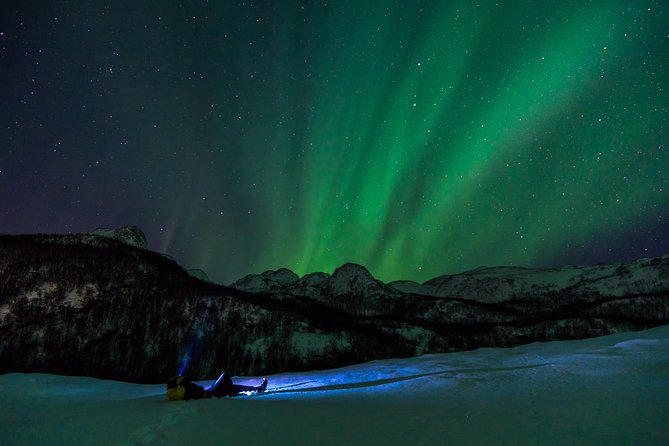 Northern Lights tour with Alta Adventure - Hot drinks, snacks, and the chance to warm up