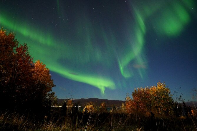 Northern Lights tour with Alta Adventure - The real value of a $235.37 tour