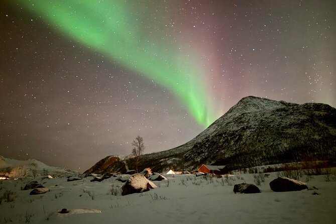 Northern Lights Tour with Hot Food and Drinks in Tromso - Why the chase matters around Tromsø