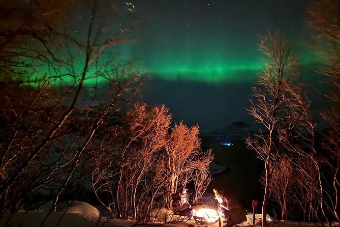 Northern Lights Tour with Hot Food and Drinks in Tromso - Thermal suits help, but pack your own winter kit