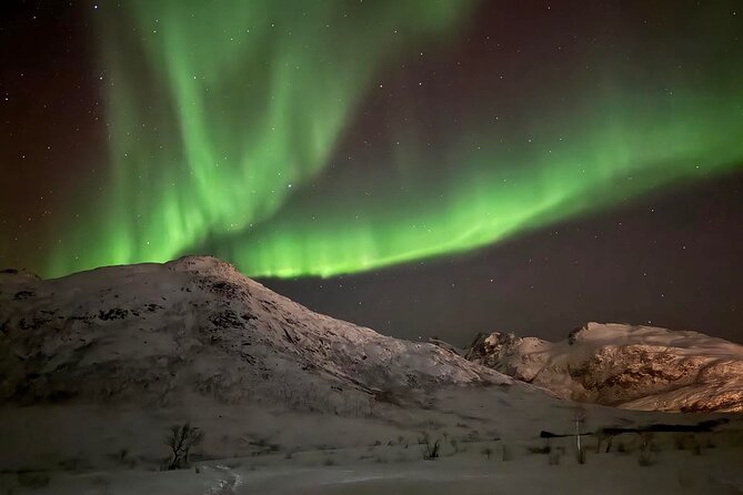 Northern Lights Tour with Hot Food and Drinks in Tromso - The guides make or break the evening