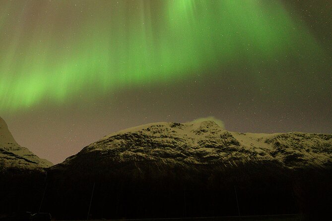 Northern Lights Tour with Local Guide and Photos - Campfire, grill hut, hot drinks, and local snacks