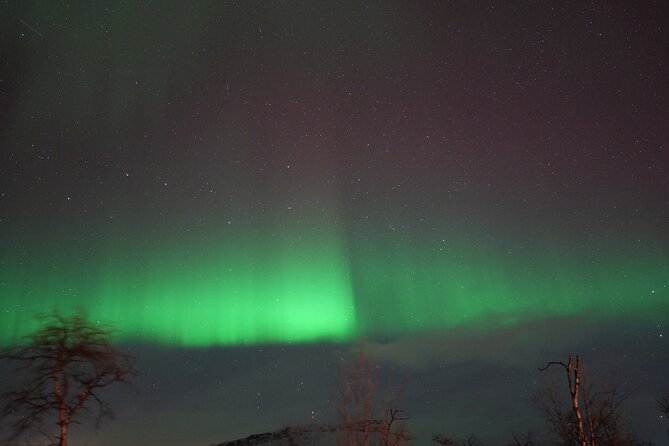 Northern Lights Tour with Local Guide and Photos - Getting your own aurora photos