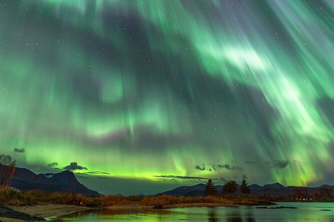 Northern Lights Tour with Local Guide and Photos - What the return drive is like