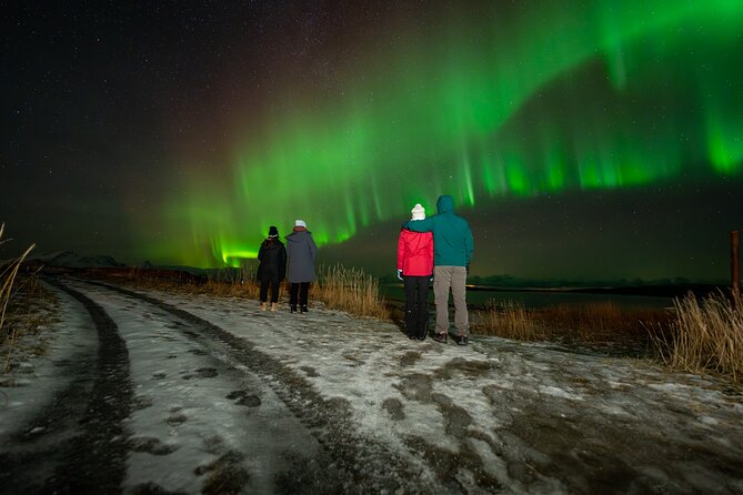 Northern Lights Tours Bodo Norway - Meeting in central Bodø at 7:00 pm