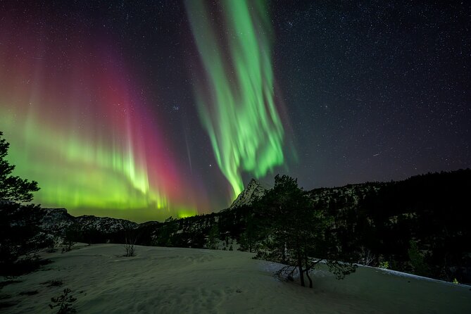 Northern Lights Tours Bodo Norway - The price makes sense for the right kind of night