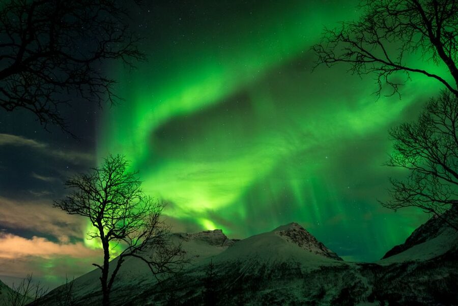 Northern lights Tromsø - small group tour with local guide - Who should book this Tromsø aurora tour