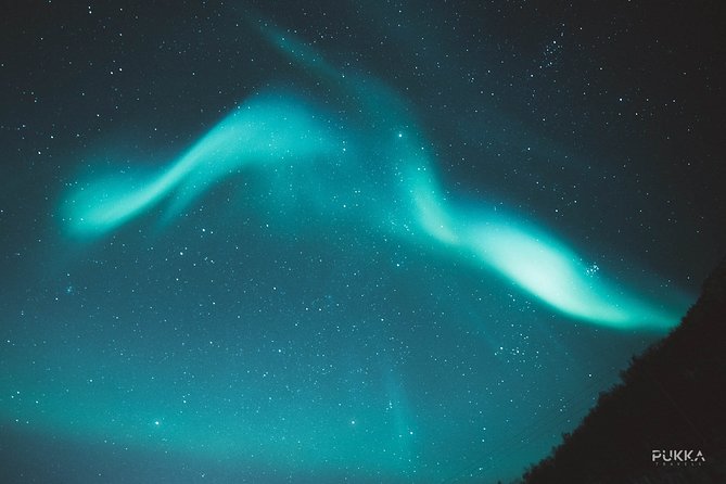 Northern Lights x Mini Bus Chase - Guides who shape the evening