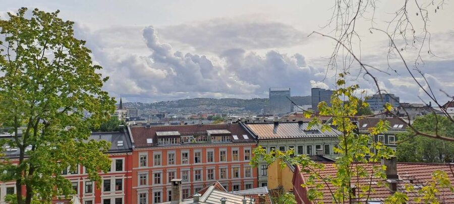 Norwegian Food Tour & Hidden Gems of Oslo - First taste: creamy fish soup