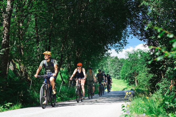 Olden: Fjord e-bike tour - Why an e-bike works so well in Olden