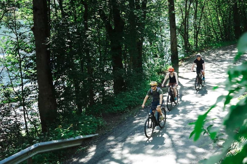Olden: Guided e-bike tour - Why an e-bike is a smart way to see Olden