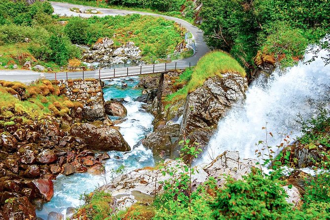 Olden Shore Excursion: the Amazing Briksdal Glacier - Who should book this excursion?