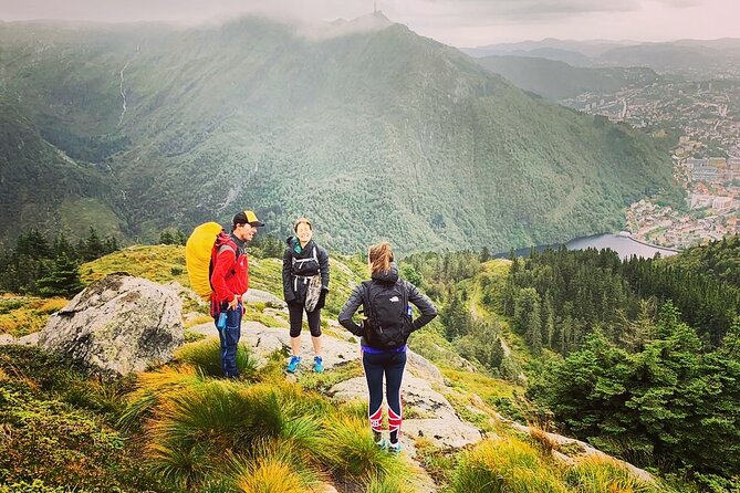 On Top of Bergen - Public Tour - What local guides add to the walk