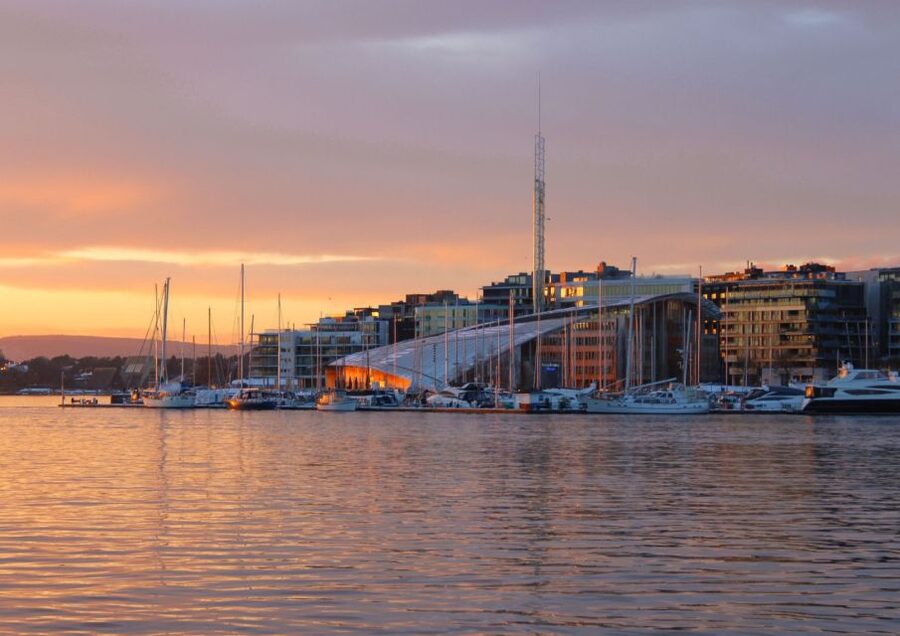 Oslo: 100% Electric Oslofjord Sightseeing Cruise - The optional Bygdøy stop and museum choice
