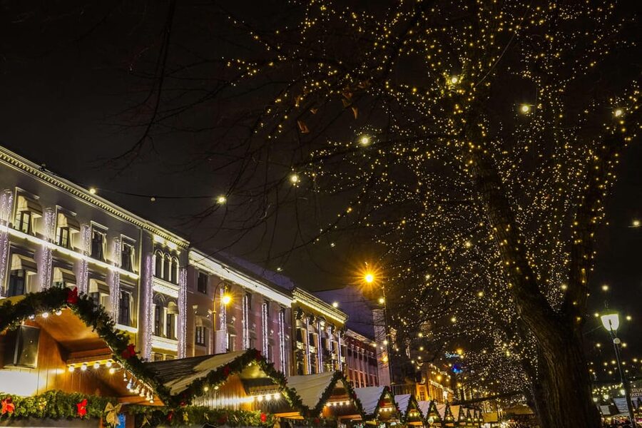 Oslo: 2-hour Christmas Private Walking Tour - The Royal Palace and Oslo’s royal setting