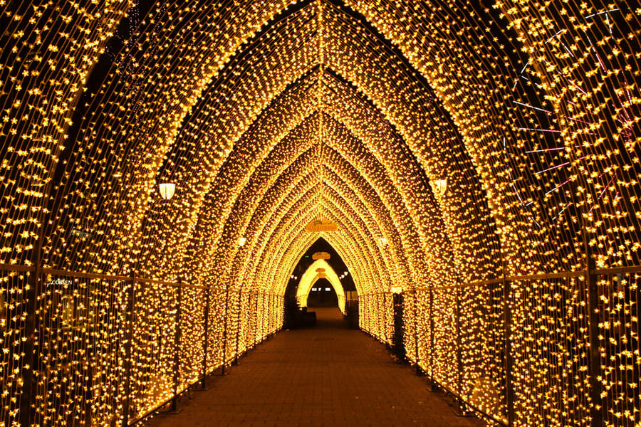 Oslo: 2-hour Christmas Private Walking Tour - Aker Brygge and the harbour view