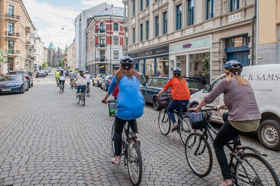 Oslo: 3-Hour Highlights Bike Tour - The downhill run to Tjuvholmen