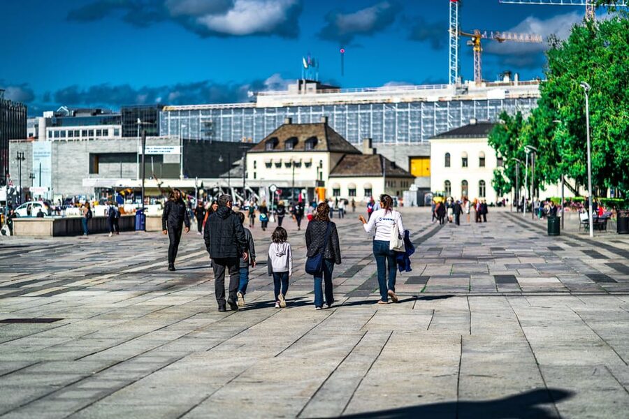 Oslo: 3-hour Highlights & Vigeland Park Private Walking Tour - Price, group size, and practical value