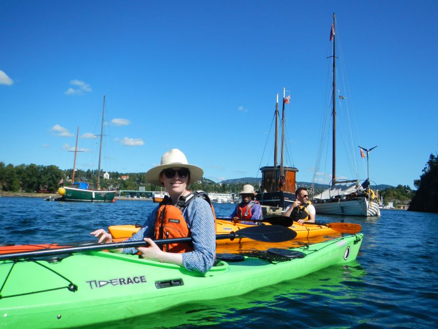 Oslo: 3-hour Kayaking Trip on the Oslofjord - The guide can make or break a beginner tour