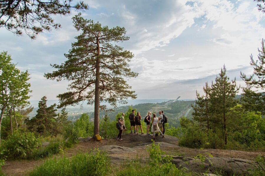 Oslo: Best View of the Oslofjord Hike - Frognerseteren and the First Forest Trails