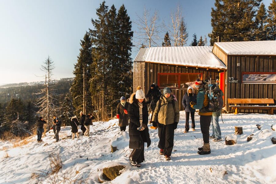 Oslo: Best View of the Oslofjord Winter Edition - The descent and return to central Oslo