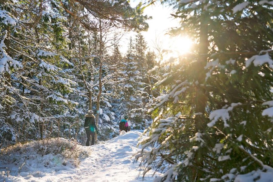 Oslo: Best View of the Oslofjord Winter Edition - What the $105 price includes
