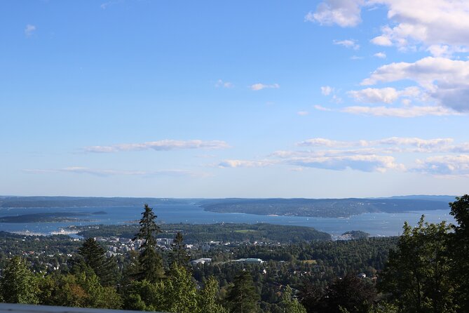 Oslo City Highlights with Fjord Cruise - The guide makes a real difference