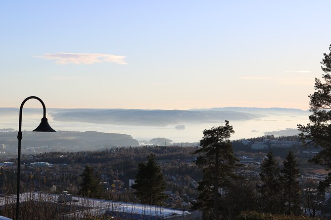 Oslo City Highlights with Fjord Cruise - Is $123.73 a fair price?