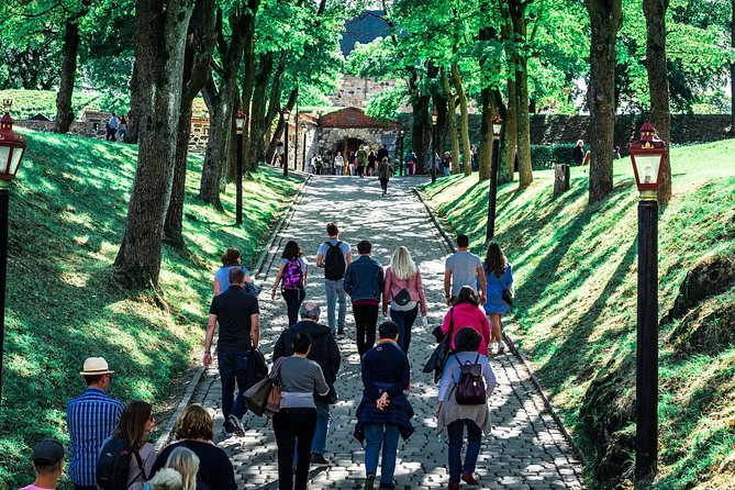 Oslo City Private Walking Tour - What the private format really adds
