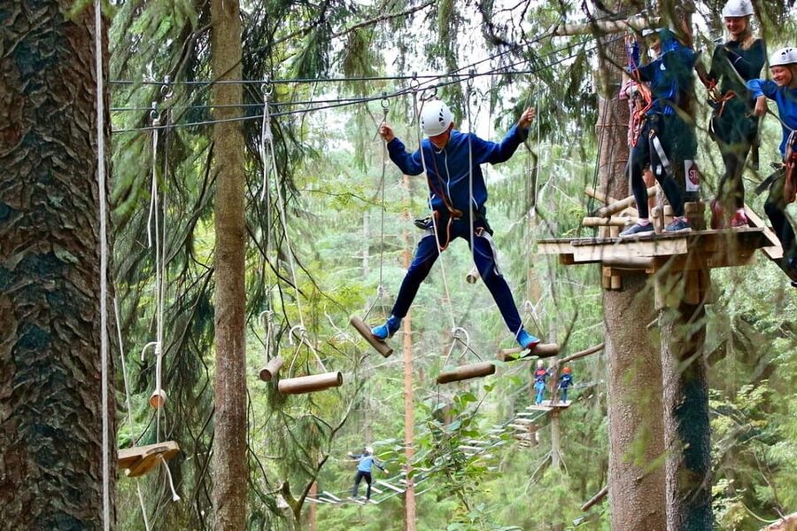 Oslo: Day ticket to Oslo's favourite Climbing Park - Tarzan jumps and climbing walls