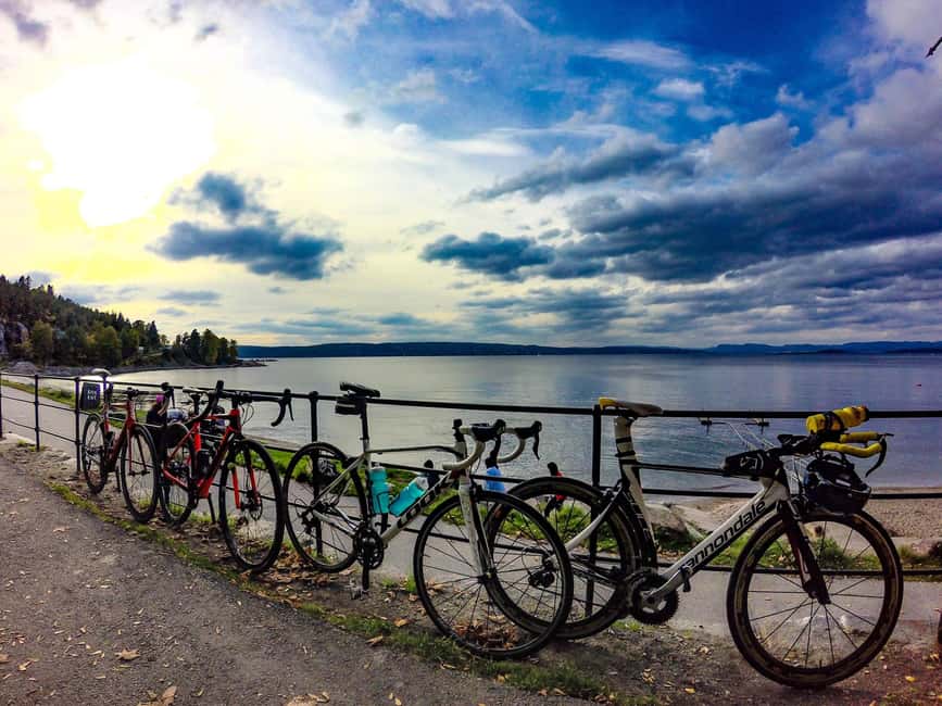 Oslo El-Bike Panorama Tour - What the $42 price really covers