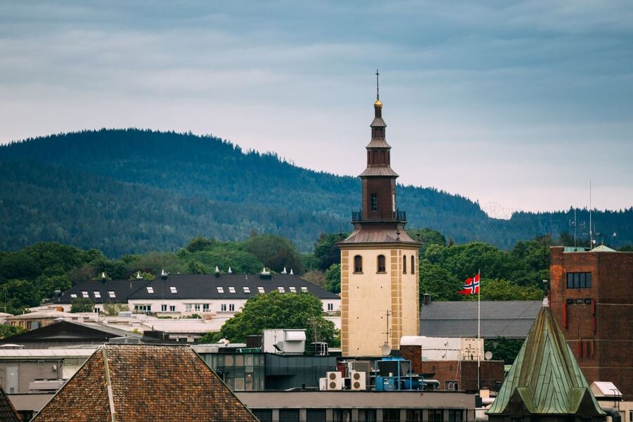 Oslo: Express Walk with a Local in 60 minutes - A quick route from Cafe Skansen into Oslo